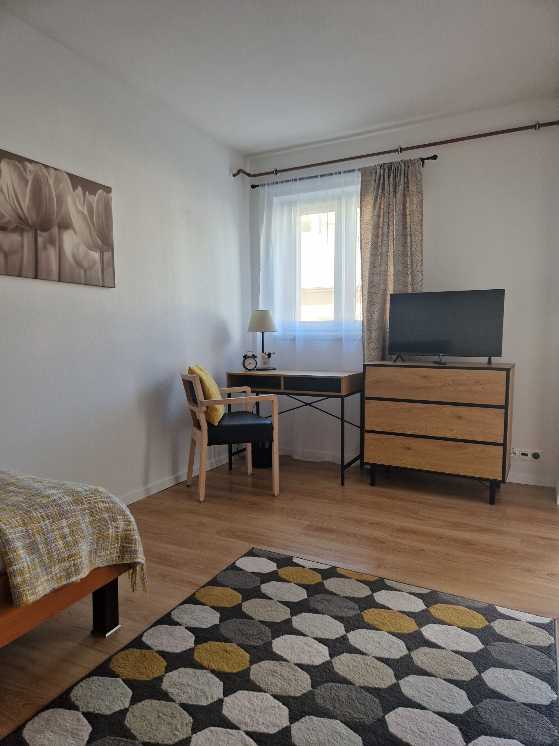 Priestranný apartmán pre jednu osobu v Apartmánoch Aurelius